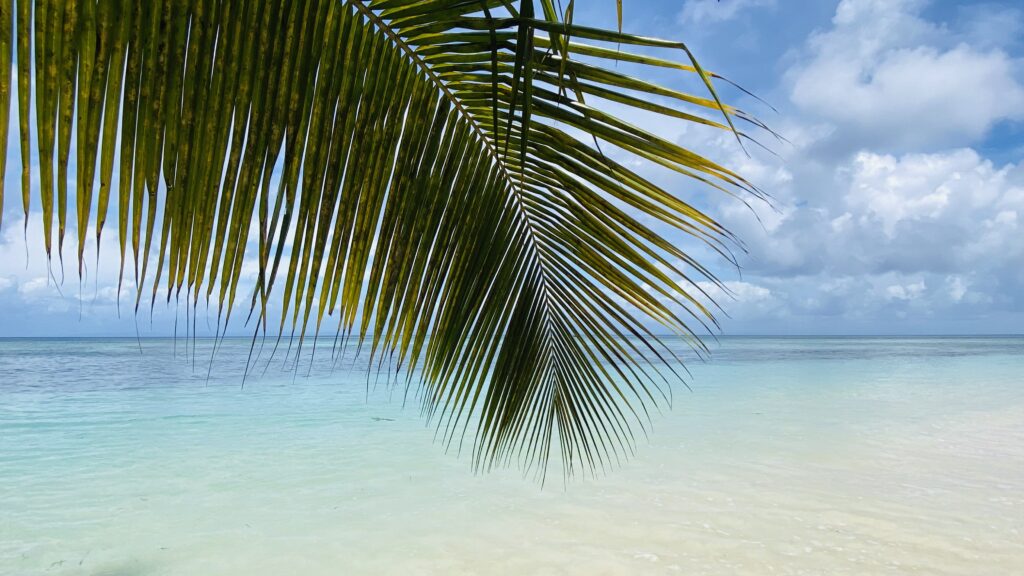 Circuit nord-Est Madagascar